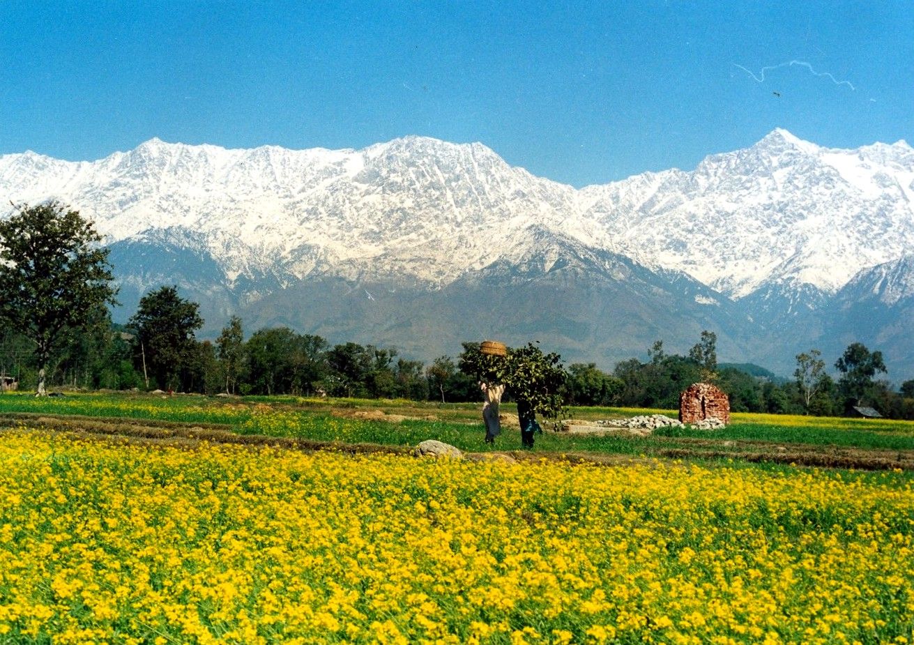 Expédition de trekking dans la vallée de Kangra